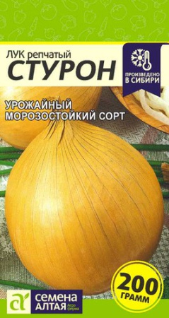 Лук (репчатый) Стурон  купить