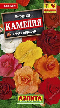 Бегония Камелия крупноцветковая,  смесь купить