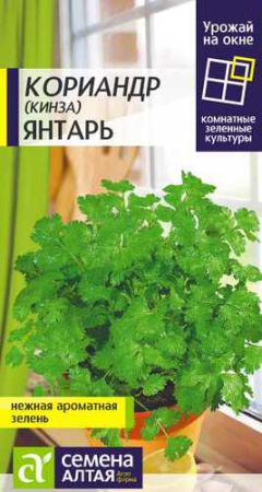 Кориандр Янтарь УРОЖАЙ НА ОКНЕ!  купить