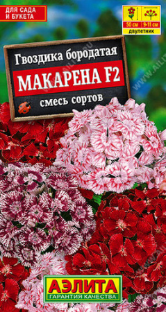 Гвоздика Макарена F2, турецкая смесь  купить