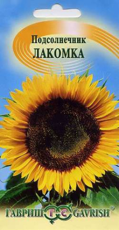 Подсолнечник Лакомка  купить