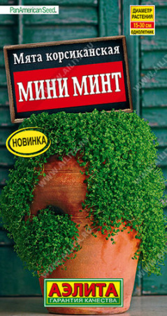 Мята корсиканская Мини минт  купить