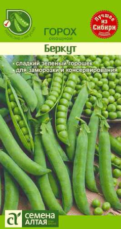 Горох Беркут  купить