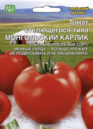 Томат Монгольский Карлик стелющегося типа  купить