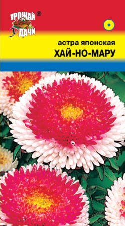 Астра Хай-но-Мару японская помпонная купить
