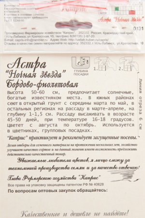 Астра Ночная Звезда/1шт купить