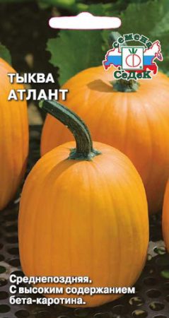 Тыква Атлант  купить