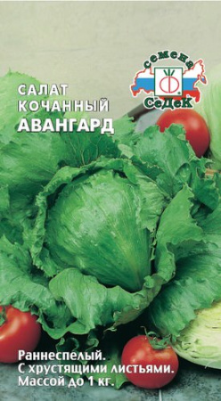 Салат Авангард  кочанный купить