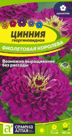 Цинния Фиолетовая Королева георгиноцв.  купить