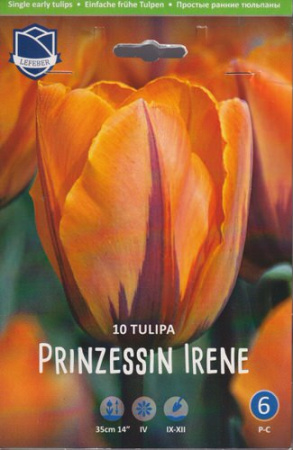 Тюльпан триумф "Prinzesse Irene" (1х10шт) купить