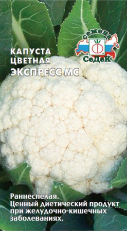 Капуста (цветная) Экспресс МС F1 купить