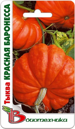 Тыква Красная Баронесса  купить