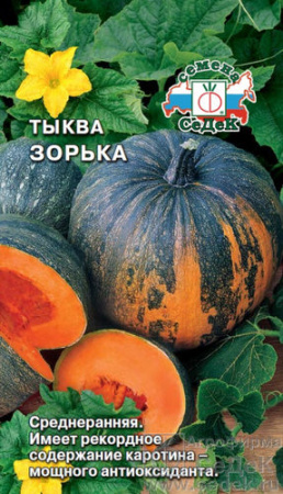 Тыква Зорька  купить