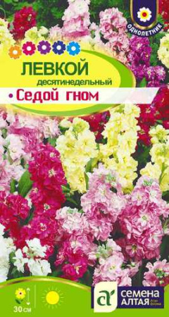 Левкой десятинедельный Седой гном  купить