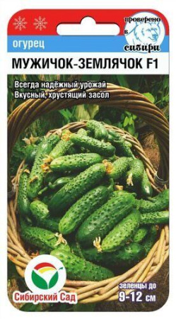 Огурец Мужичок-землячок F1 купить