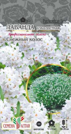 Лаванда Снежный колос узколистная  купить