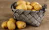 Картофель семенной Брянский деликатес 2кг/10 купить