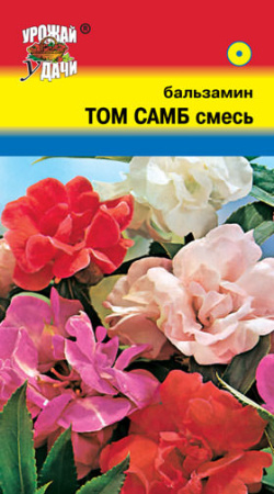 Бальзамин Том Самб Смесь  купить
