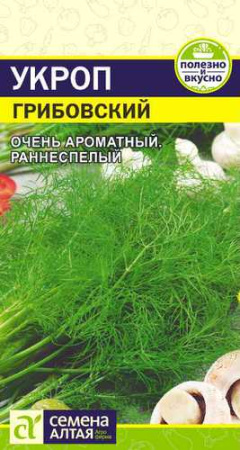 Укроп Грибовский  купить