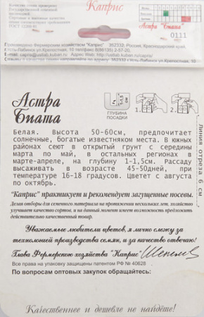 Астра Биата/1шт купить