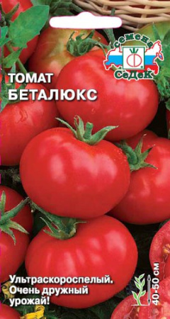 Томат Беталюкс  купить