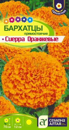 Бархатцы Сиерра Оранжевые купить