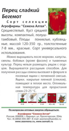 Перец Бегемот  купить