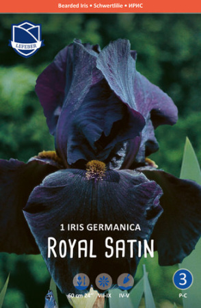 Ирис germanica Royal Satin /1шт купить