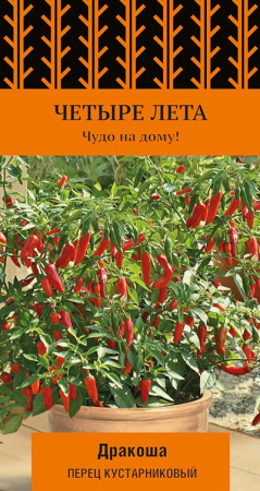 Перец (кустарниковый) Дракоша купить