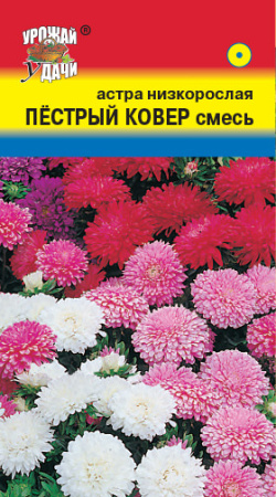 Астра Ковер Пестрый Смесь низкорослая купить