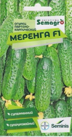 Огурец Меренга F1  купить