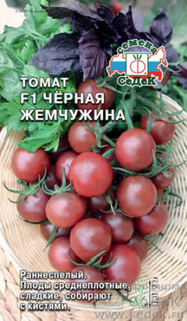 Томат Чёрная жемчужина  купить