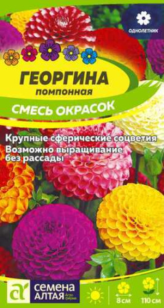 Георгина Помпонная Смесь купить