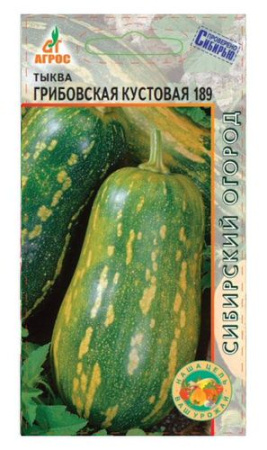 Тыква Грибовская кустовая 189  купить