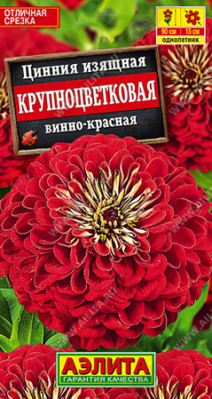 Цинния Крупноцветковая винно-красная  купить