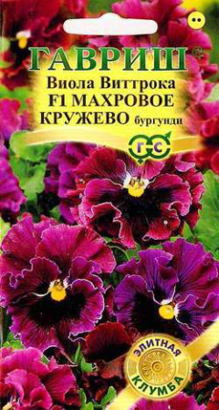 Виола Витрокка Махровое кружево бургунди Элитная клумба  купить