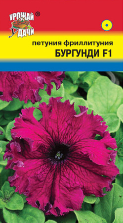 Петуния Фрилитуния Бургунди  купить