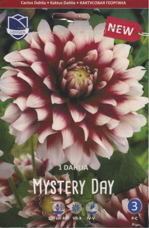 Георгина декоративная Mystery Day /1шт купить