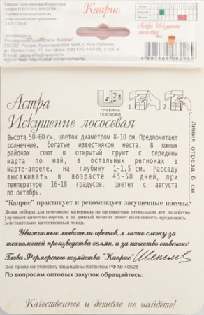 Астра Искушение лососевое/1шт купить