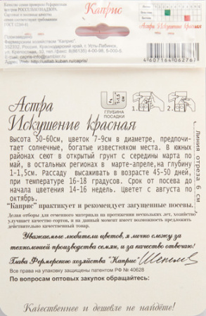 Астра Искушение красная/1шт купить