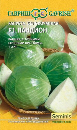 Капуста Пандион F1 купить