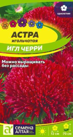 Астра игл Черри купить