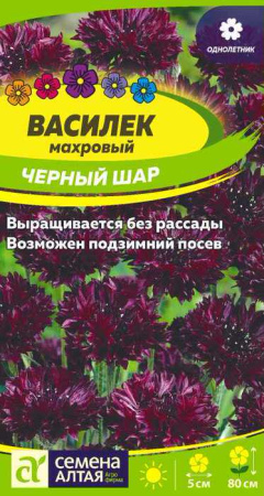 Василек Черный шар махровый купить