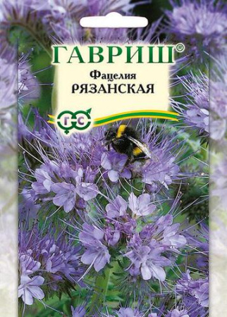 Фацелия пижмолист. Рязанская 20г купить