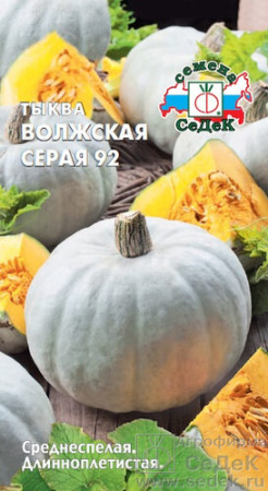 Тыква Волжская серая 92  купить