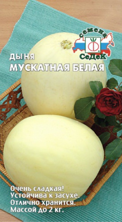 Дыня Мускатная Белая  купить
