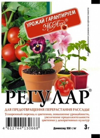 Регулар 3г/70 купить