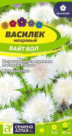 Василек Вайт Бол  купить