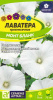 Лаватера Монт Бланк  купить
