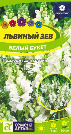 Львиный зев Белый Букет  купить